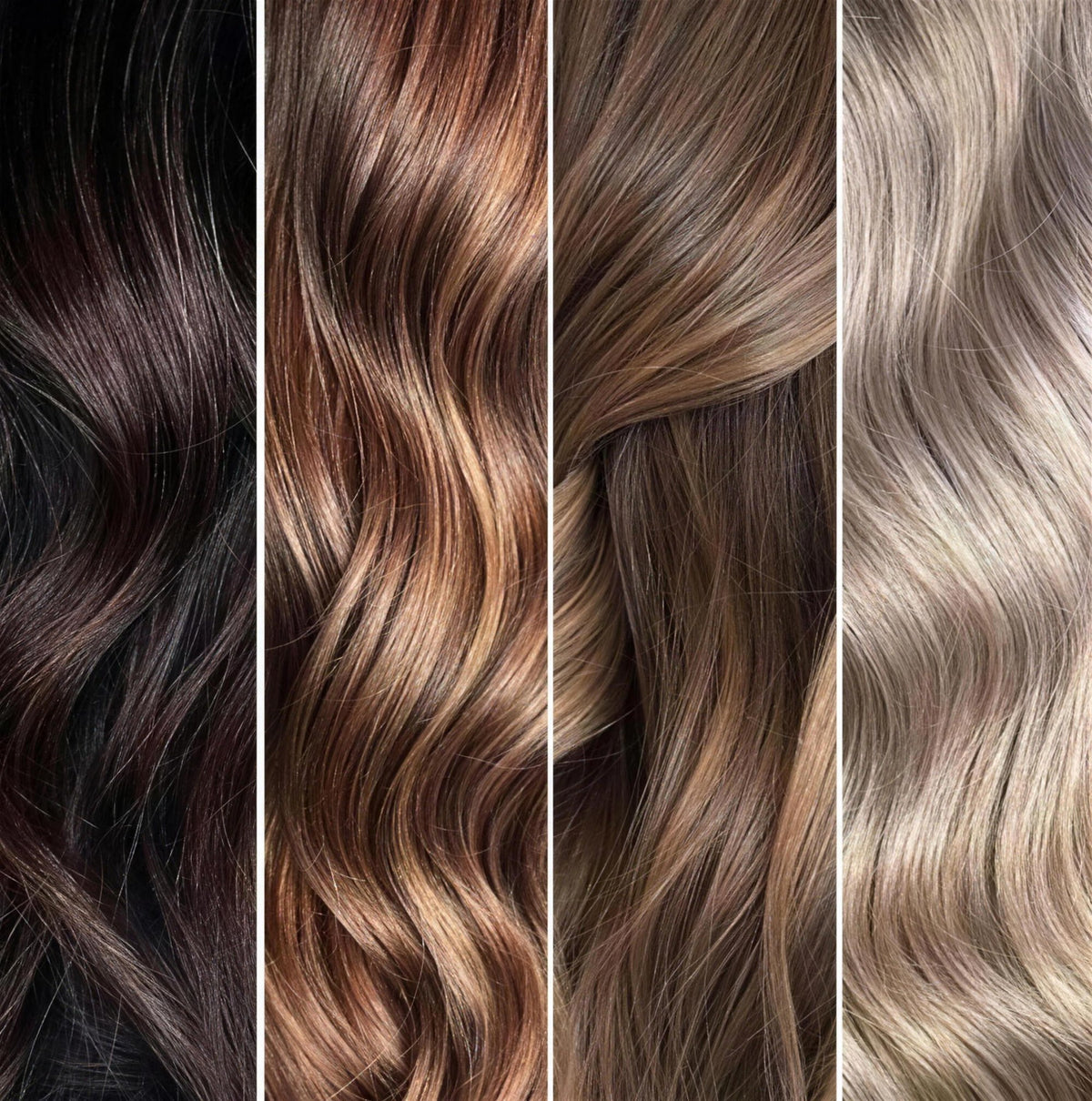 colour panels upscaled